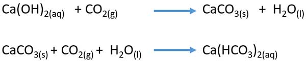 carbon dioxide lime water experiment